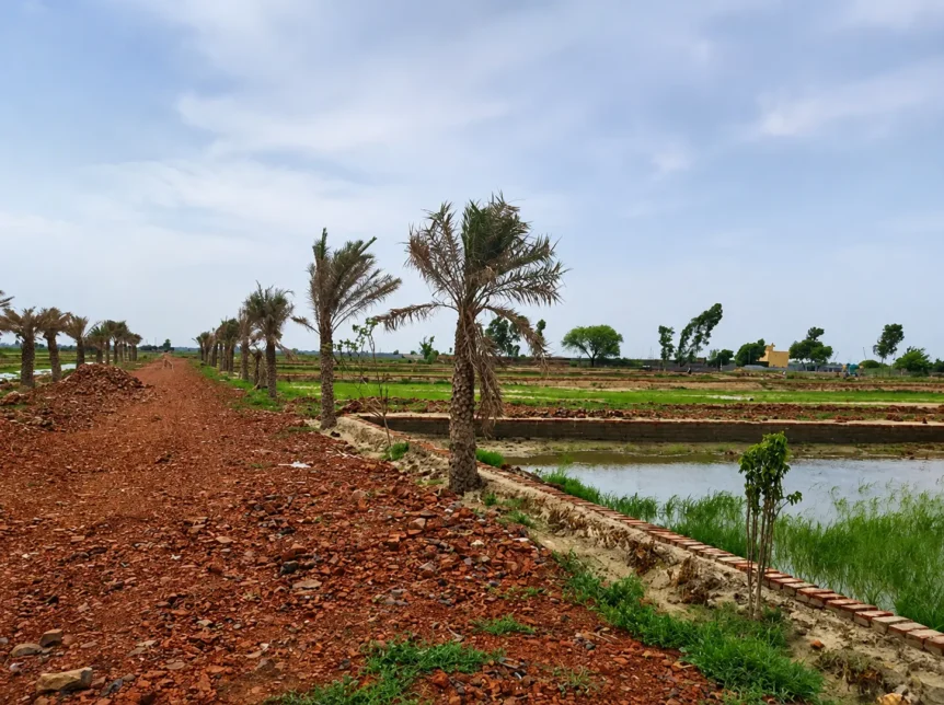 1st city Tappal plots Greater Noida